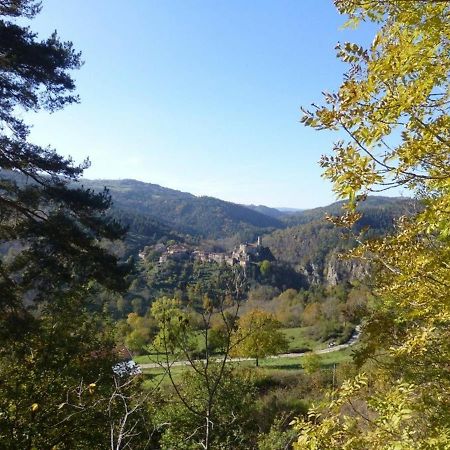 Boisset  Gite En Pierre Avec Terrasses, Proche De Sites Medievaux, Ideal Pour Famille Avec Equipements Bebe. - Fr-1-582-256 מראה חיצוני תמונה