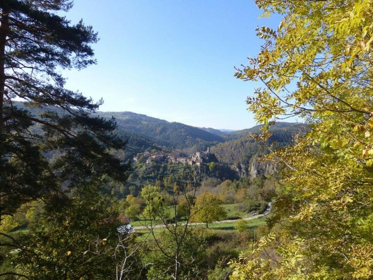 Boisset  Gite En Pierre Avec Terrasses, Proche De Sites Medievaux, Ideal Pour Famille Avec Equipements Bebe. - Fr-1-582-256 מראה חיצוני תמונה